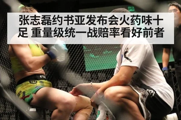 张志磊约书亚发布会火药味十足 重量级统一战赔率看好前者
